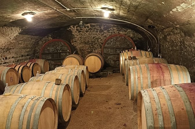 Oak barrels on the earth floor of a cellar under a stone vault