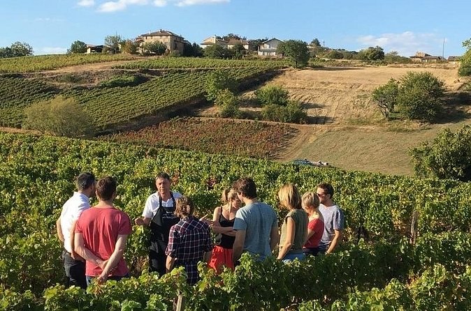 Beaujolais & Perouges Medieval Town - Private Tour - Full Day from Lyon