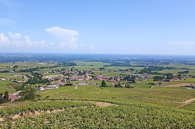 Beaujolais Day Guided Tour - Winery Tours and Tastings
