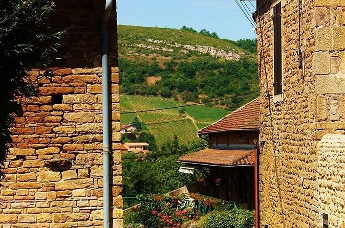 Beaujolais wine tour from Lyon half day