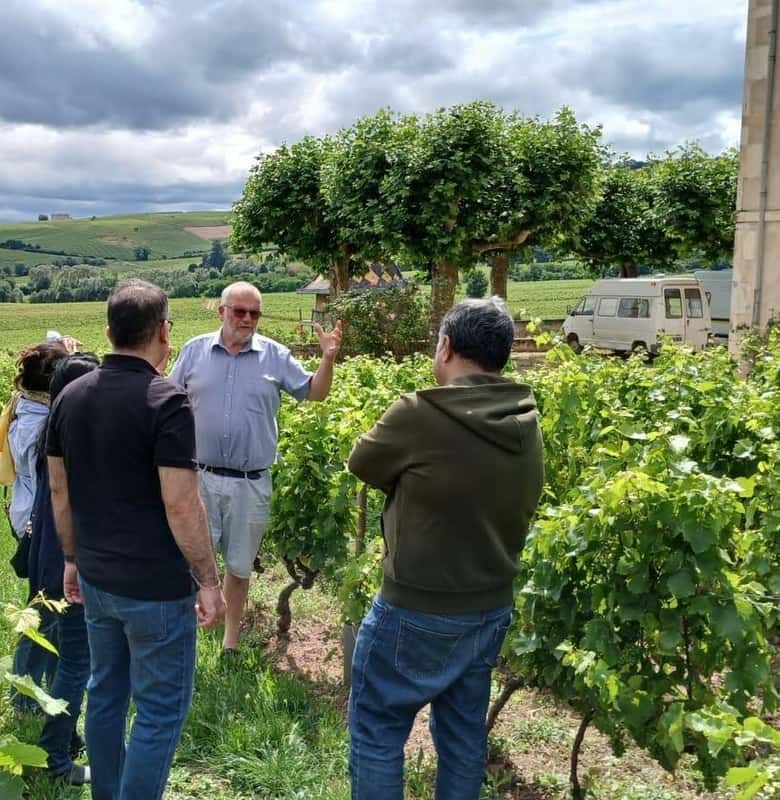 From Lyon: Beaujolais Wine Route Half-Day Tour