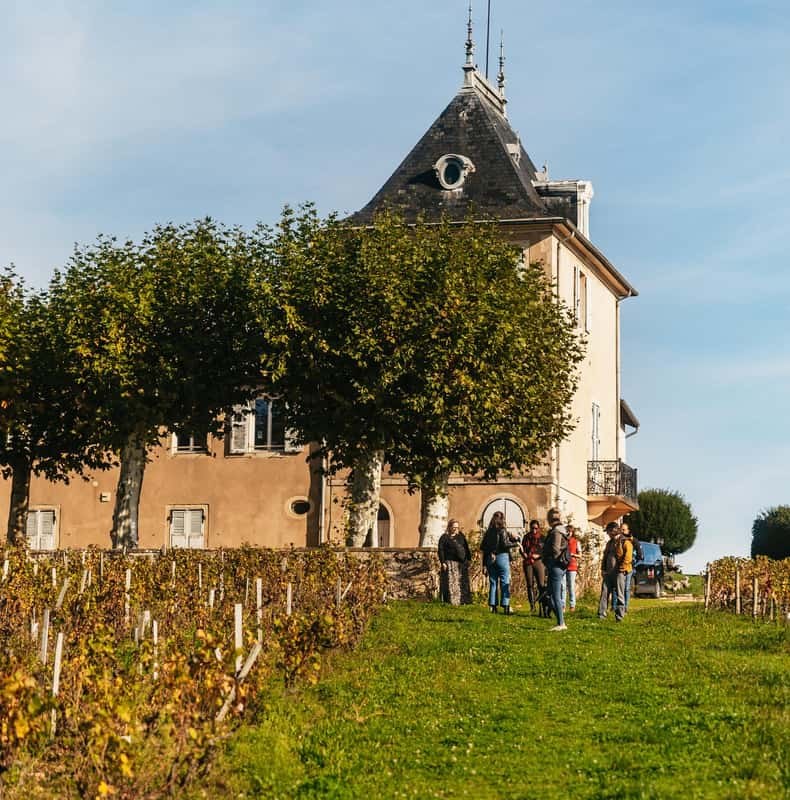 From Lyon: Beaujolais Wine Tour with Tastings