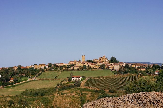A golden-stone village with a square tower along a hilltop above fields and vines