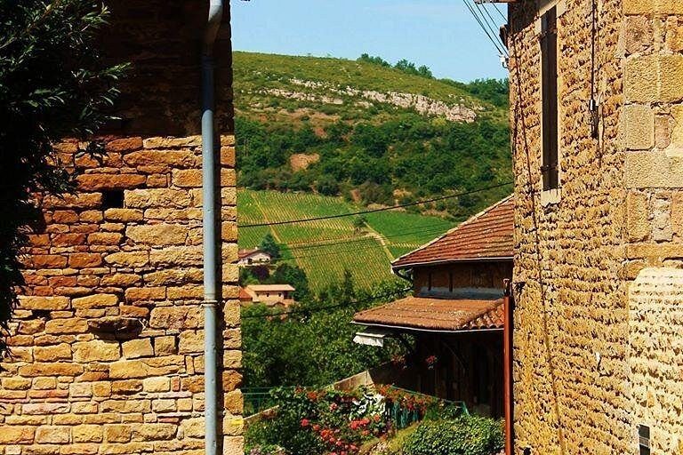 Two golden-stone walls framing a view of vines on a green hillside