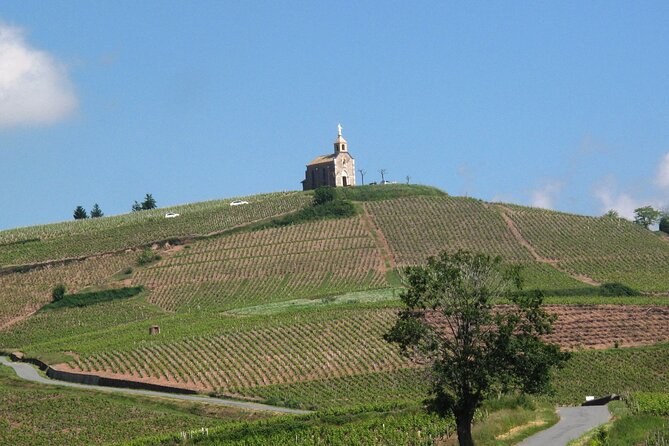 The chapel on the summit of Mont Brouilly, vines running up the hill below it