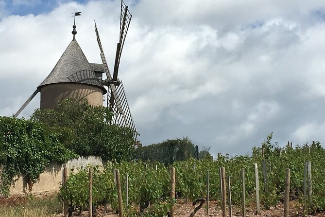 The Moulin-à-Vent windmill above a row of vines under a cloudy sky