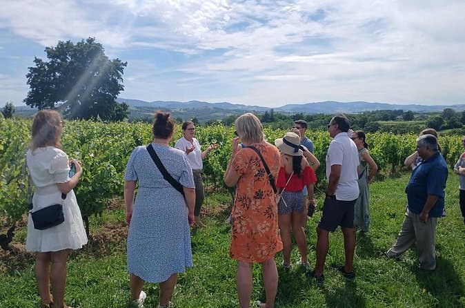 Private half-day tour to Golden Stones Beaujolais with tastings