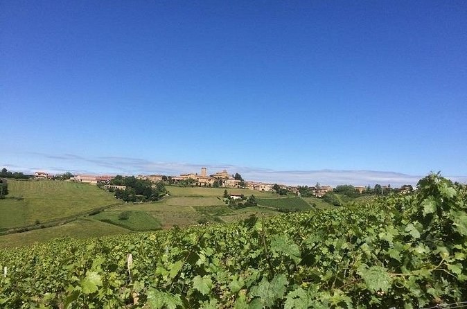 Vine leaves close up, a village strung along the ridge on the horizon